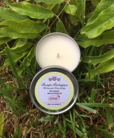 Bougie bio répulsive bzzzzz