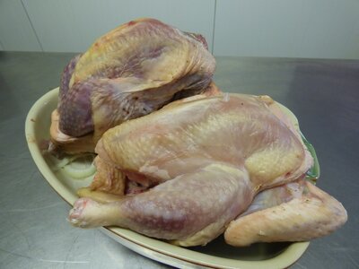 Poulet et pintade