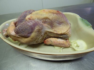 Pintade