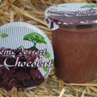 Crème dessert chocolat