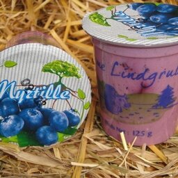 Yaourt myrtille