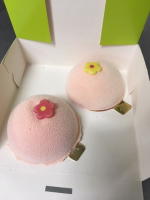 2 secerts du chênesire