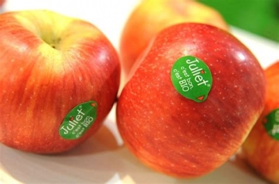 Pomme julie bio