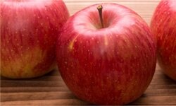 Pomme fuji bio