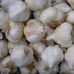 Ail blanc sec