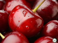 Cerise 'burlat'