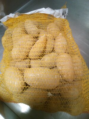 Pomme de terre allians
