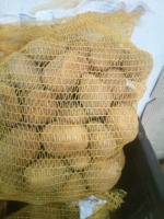 Pomme de terre allians