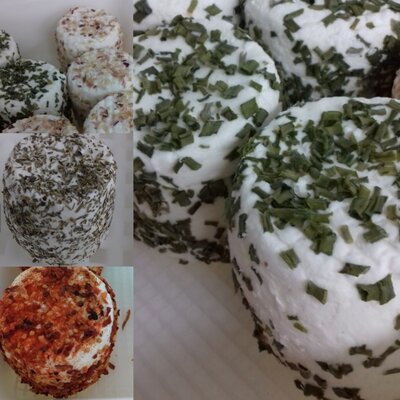 Assortiment de 4 fromages frais