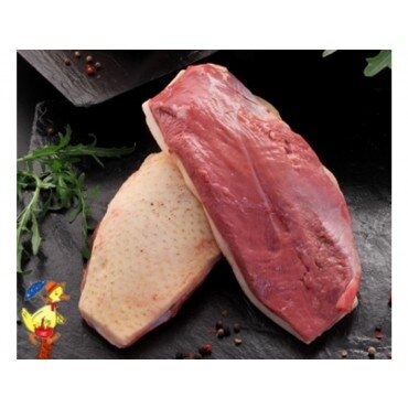 Magret de canard