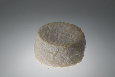 Fromage de chèvre demi-frais
