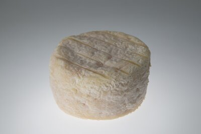 Fromage de chèvre affiné