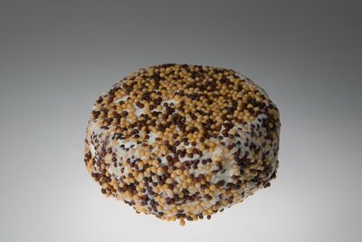 Chèvre frais graines moutarde