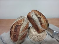 Paysan nature moulé