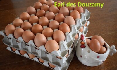 30 oeufs moyen