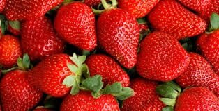 Fraises