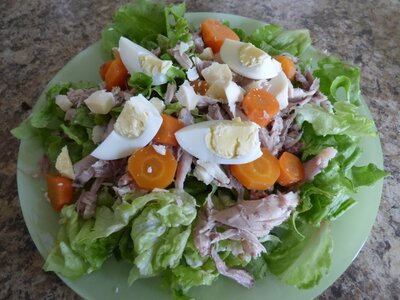 Effiloché de poulet