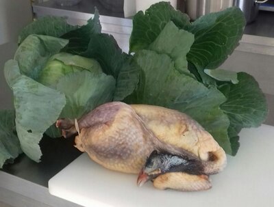 Pintade de ferme 1kg600