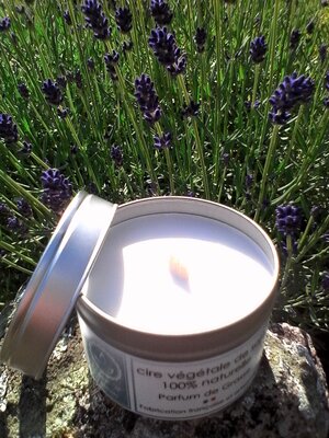 Bougie végétale parfum lavande