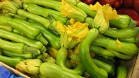 Courgette trompette de nice