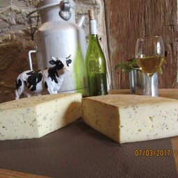 Tomme ail des ours