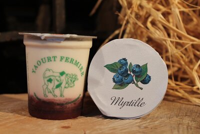 Yaourt fermier sur lit de myrtilles
