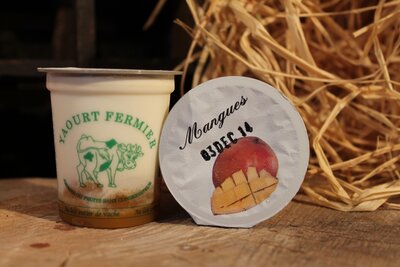 Yaourt fermier sur lit de mangues