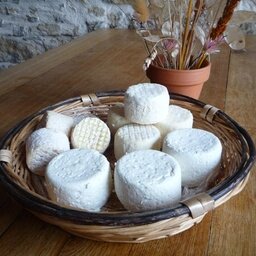 Chèvre frais nature