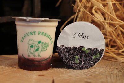 Yaourt fermier sur lit de mûres
