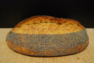 Boule aux graines de pavot (tranches)