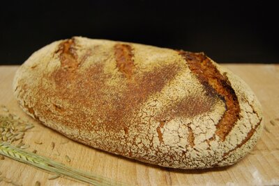 Miche morvandelle (tranches)