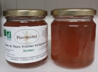 Gelée de fleurs de sureau noir