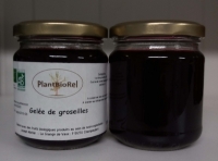 Gelée de groseilles rouges