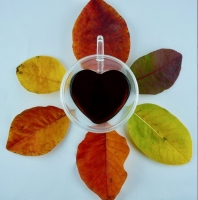 Blend thé puerh et fumé parfumés aux agrumes