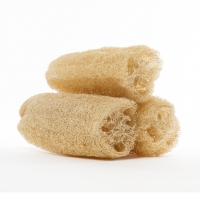 Eponge loofah