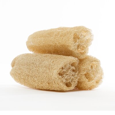 Eponge loofah