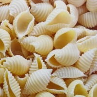 Conchiglie-rigate natures