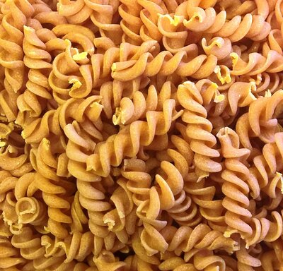 Mini-fusilli bio à la tomate et à
