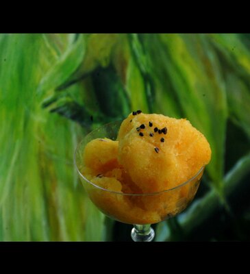 Sorbet orange cardamome