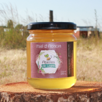 Miel d'acacia bio - 250g