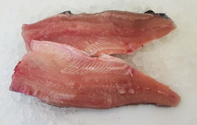 1 filet de truite arc-en ciel