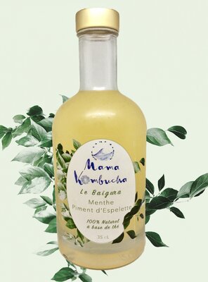 Kombucha  menthe - piment d'espelette