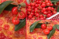 Cerises de momtmorency 5kg