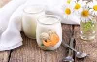 Yaourt de chèvre melon