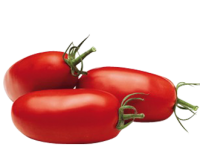 Tomate longue (torino )