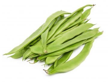 Haricot plat bio