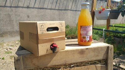 Cubis de jus de pomme