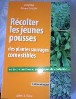 Récolter les jeunes pousses des plantes sauvages