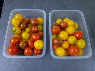 Tomates cocktail