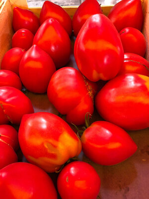 Coeur de boeuf